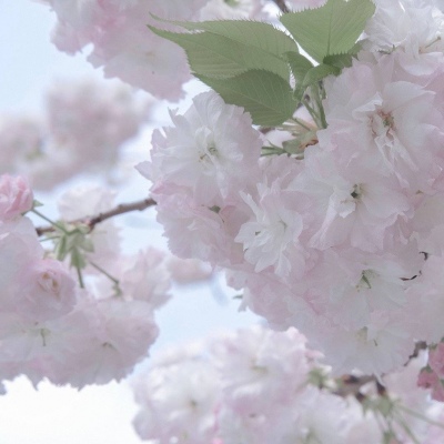 兽设原创构思技巧兽圈群